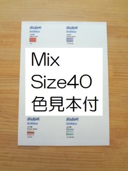 画像1: Lizbeth 台紙　Mix91色  #40 色見本付