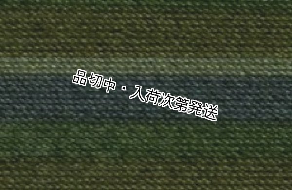 画像1: * Lizbeth col.167 Size3（ご予約商品） (1)