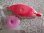 画像1: Aerlit Shuttle Pink Berry (1)