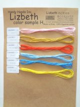 Lizbethの実物見本帳 - あとりえシシカス