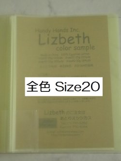 画像1: Lizbeth　フルセット206色　実物見本帳  #20