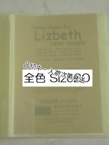 画像1: * Lizbeth　フルセット206色　実物見本帳  #20（ご予約商品） (1)