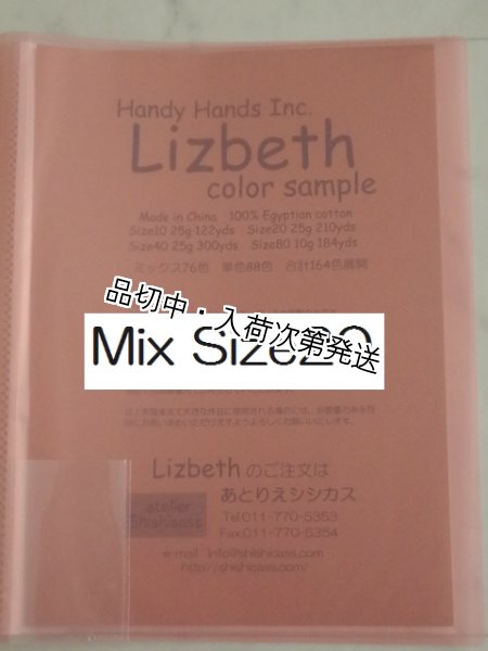 画像1: * Lizbeth　ミックス91色　実物見本帳  #20（ご予約商品） (1)